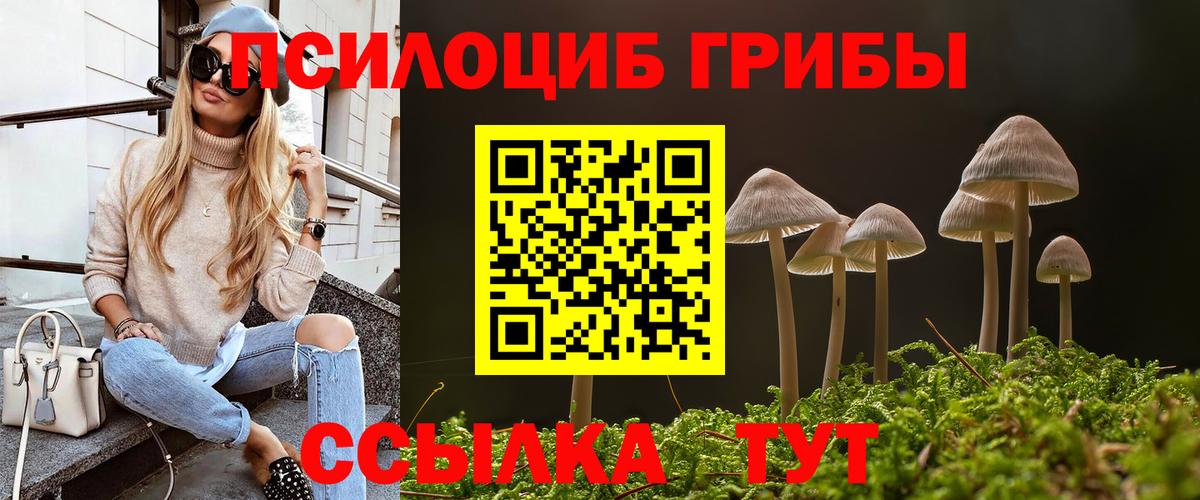 Псилоцибиновые грибы Psilocybe  Галлюциногенные грибы прущие грибы  Вход с VPN  Рославль 